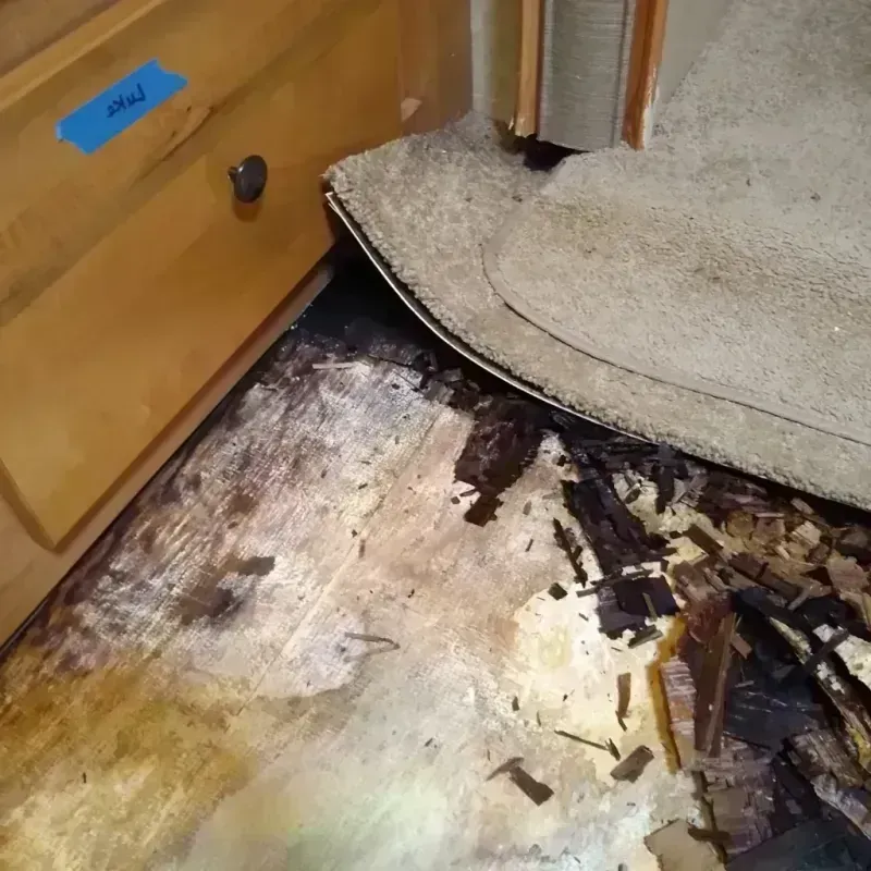 Best Wood Floor Water Damage Service in Clifton, NJ